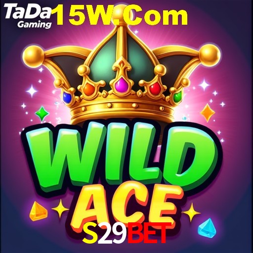 S29BET App Interface